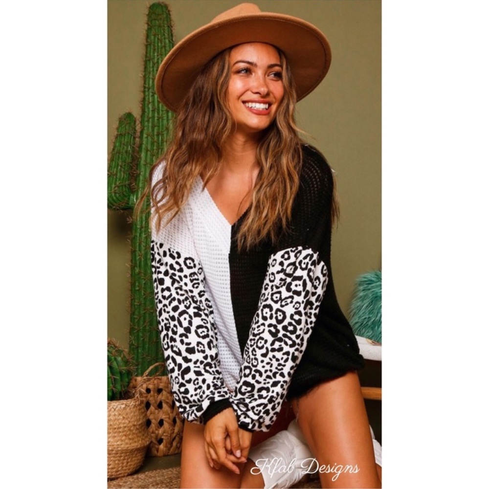 V Neck Color Block Animal Knit Top